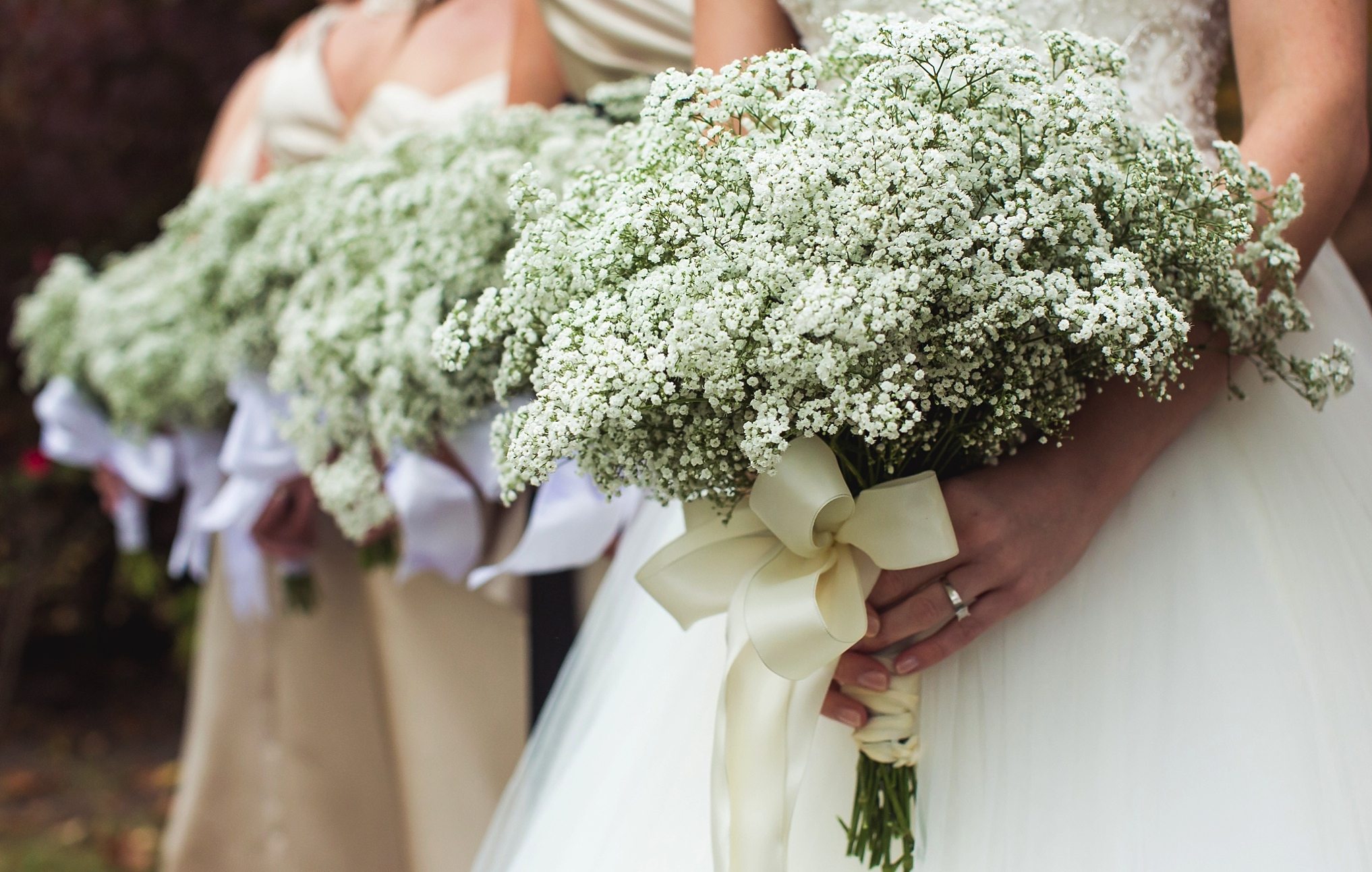 Baby's Breath Bouquet