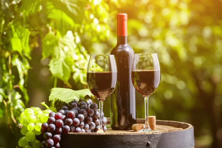 The Top 5 Best Italian Red Wines To Try