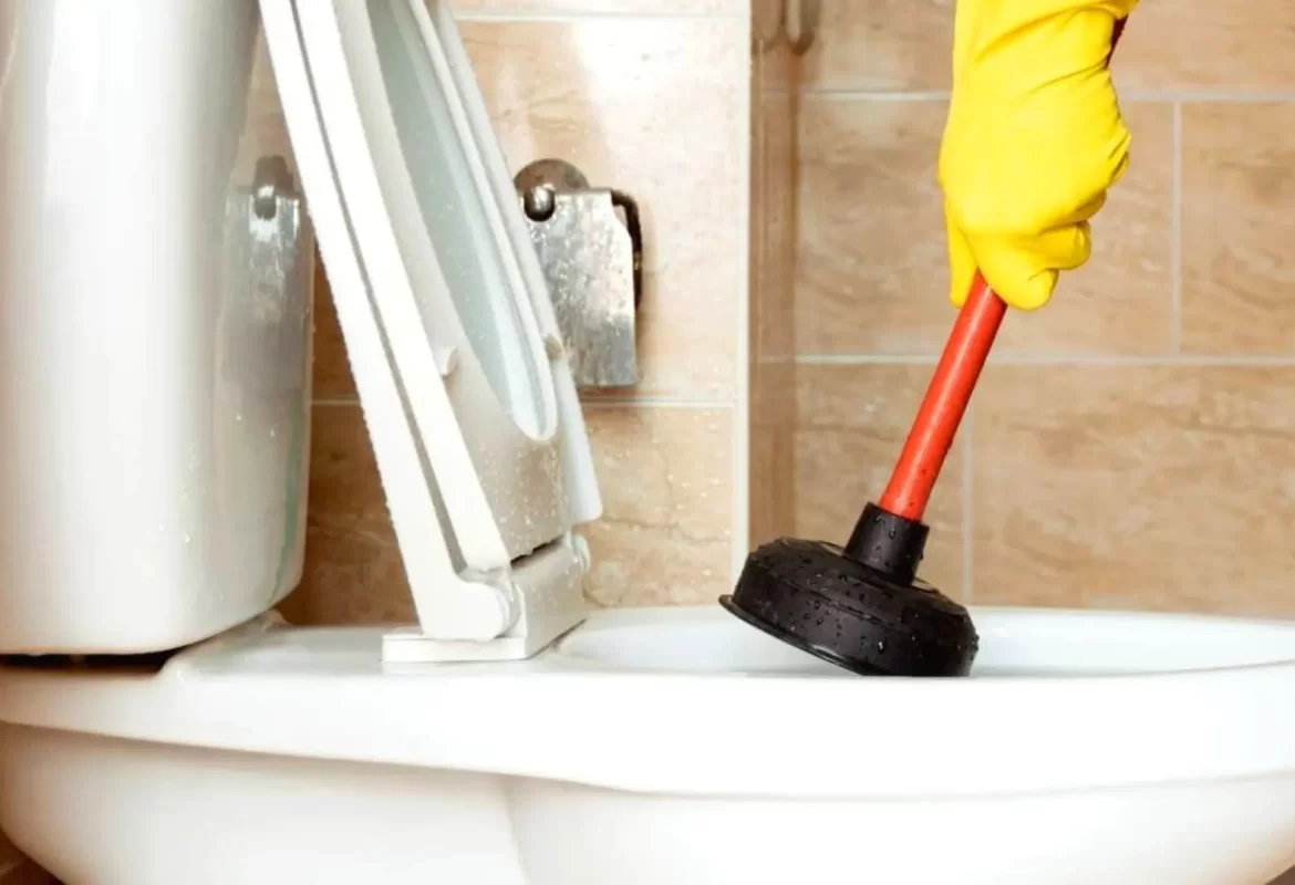 see how to clear a clogged toilet without a plunger