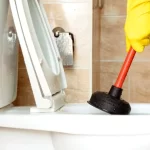 see how to clear a clogged toilet without a plunger