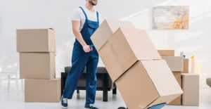 Stress-Free Relocation: How Barrhaven Movers Make Moving Easy