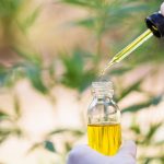 Legal Landscape of CBD Oil in Canada: Changes Made and Future Expectations